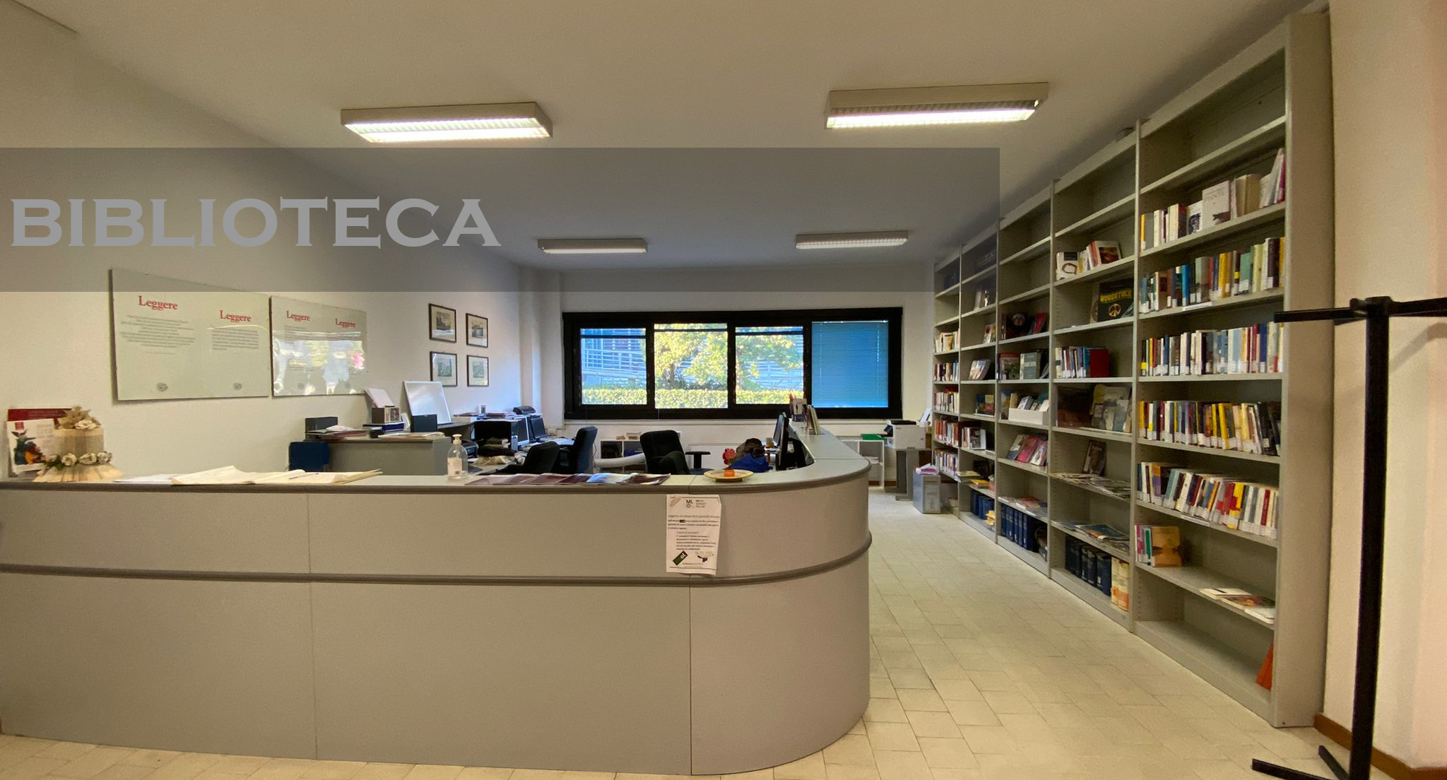 accoglienza biblioteca