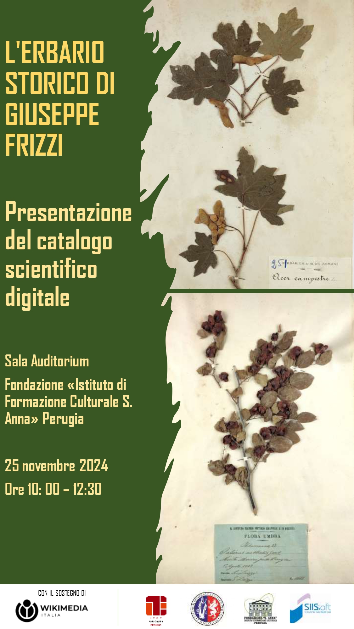 Locandina - L erbario storico di Giuseppe Frizzi - 25-11-2024